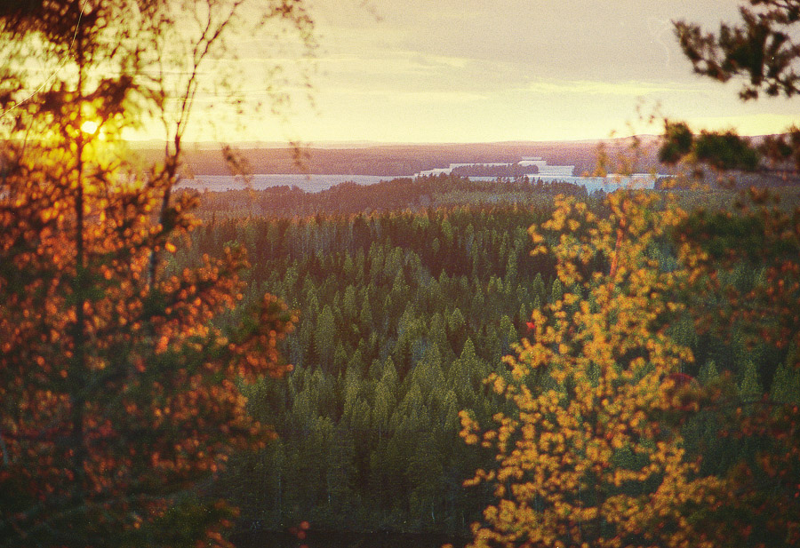kalajanvuori konnevesi konneveden kansallispuisto old forest finland