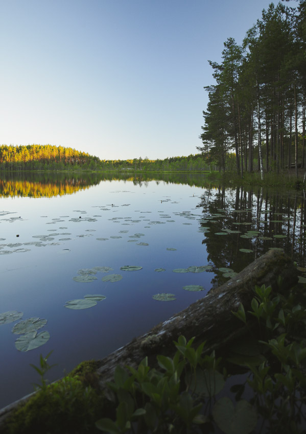 Seitseminen National Park 2018 Sampo Kiviniemi Photography