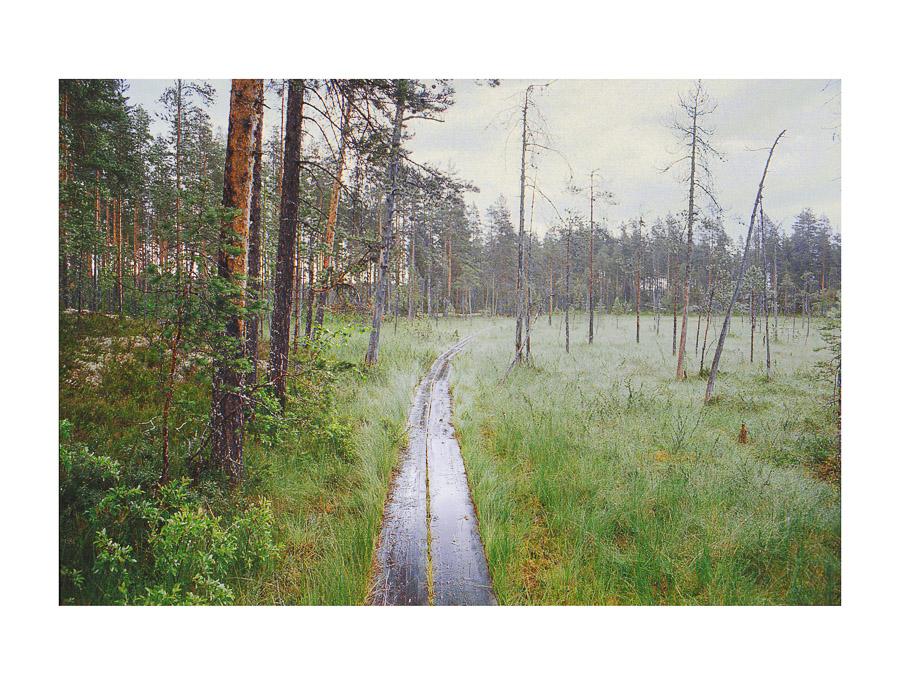 Helvetinjärven kansallispuisto vaellus Helvetinjärvi National park