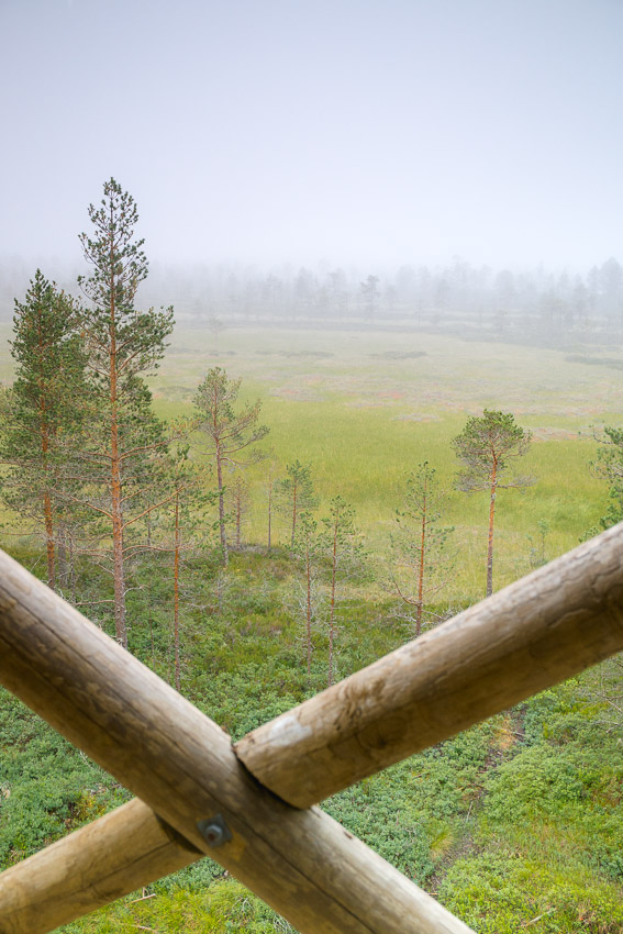 Kauhaneva-Pohjankangas kansallispuisto Kauhalammi