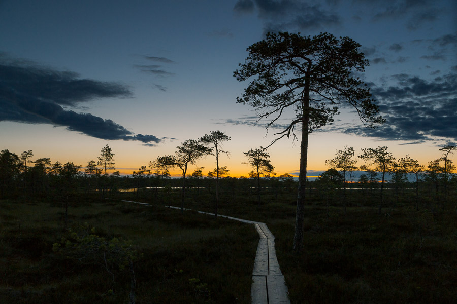 Kauhaneva-Pohjankangas kansallispuisto Kauhalammi