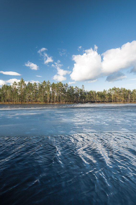 Luutalammi Komion luonnonsuojelualue Poronpolku maastopyöräily Loppi Komion luonnonsuojelualue MTB Finland