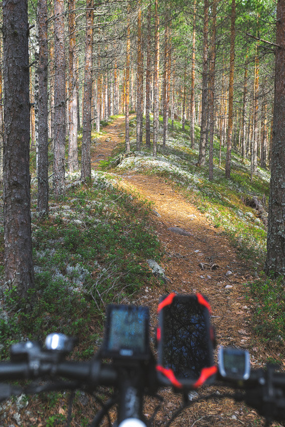 Poronpolku maastopyöräily Loppi Komion luonnonsuojelualue MTB Finland