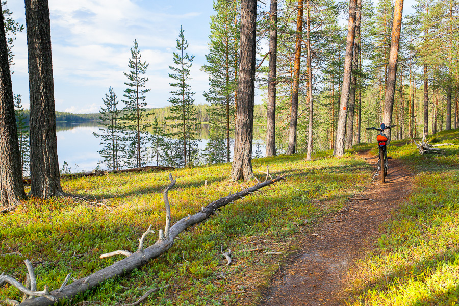 Finland Hossa National Park MTB maastopyöräily Hossa maastopyöräilyreitti retkeily retkeilyreitti polku Hossan kansallispuisto maastopyöräreitti metsäpolku puut metsä reitti pyöräreitti pyöräilyreitti
