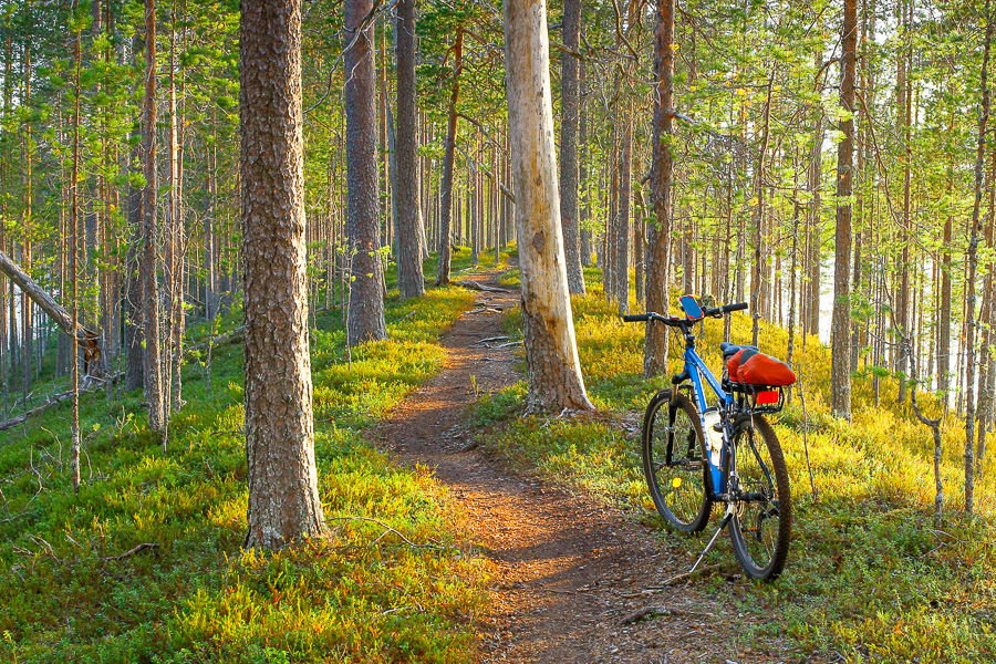 Hossan kansallispuisto maastopyöräreitti metsäpolku puut metsä reitti pyöräreitti pyöräilyreitti Finland Hossa National Park MTB maastopyöräily Hossa maastopyöräilyreitti retkeily retkeilyreitti polku