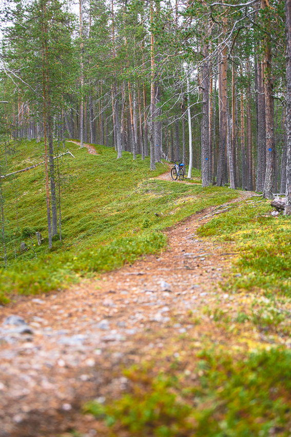 Hossan kansallispuisto maastopyöräreitti metsäpolku puut metsä reitti pyöräreitti pyöräilyreitti Finland Hossa National Park MTB maastopyöräily Hossa maastopyöräilyreitti retkeily retkeilyreitti polku